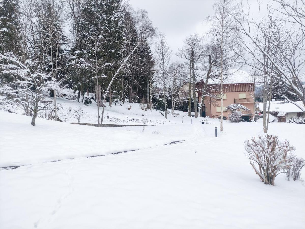 Le Manoir Au Lac Gérardmer Екстериор снимка